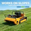 Electric Start Crawler Remote Lawn Mower Tracked Wireless RC Grass Cutter Easy Operation for Farmers