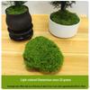 Artificial Moss Silk Grass Lawn for Landscaping and Decoration