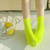 [10-Pair Set] Women's 4-Season Neon Banding Mid-Calf Socks