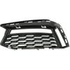 Front Lower Grilles Fog Lights Cover Trim Compatible for BMW- G30 530E 530I 540D 2017-2021