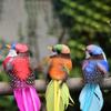Simulace Peří Ptáci Modely Falešná umělá pěna Animal Home Garden Ornament