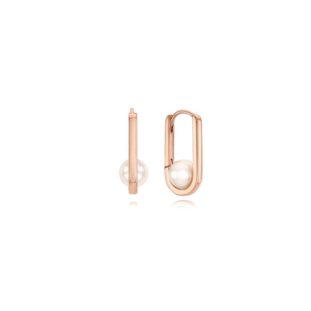[Rosemont] Silver Earrings Rc0279