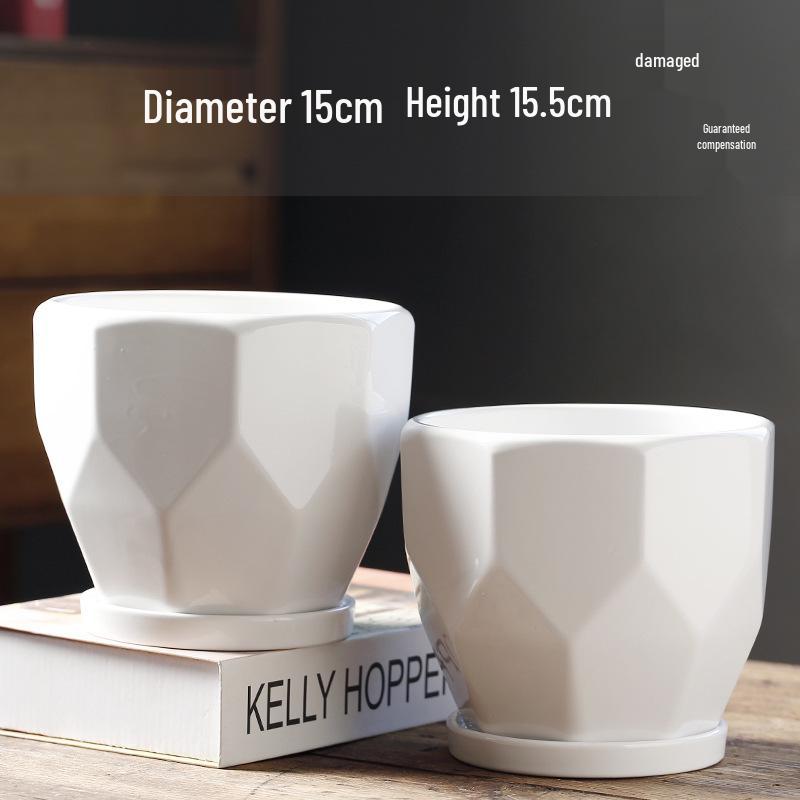 Elegant White Ceramic Flower Pot with Tray - Ideal for Ivy, Spider Plants, and Succulents