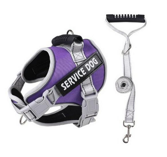 Reflektierende Atmungsaktive Hundeleine & Geschirr - Explosionsgeschütztes Design