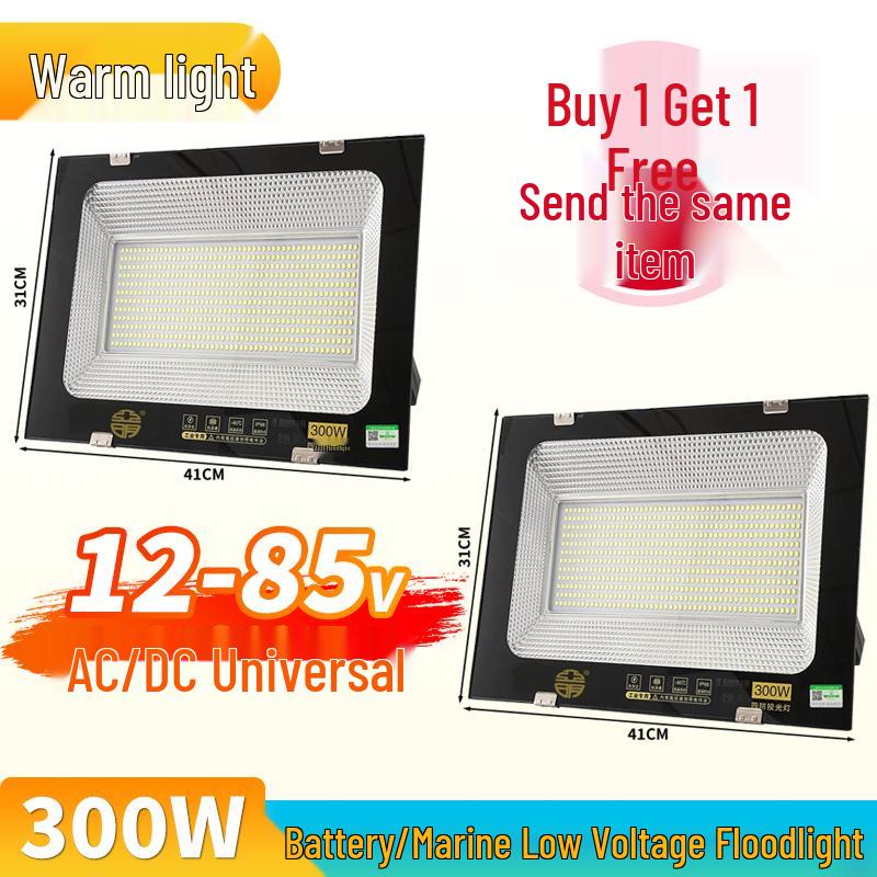 Yaming Marine LED Floodlight: 100W Outdoor Waterproof Spotlight for 12V/24V/36V DC Battery
