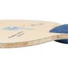 Butterfly Timo Boll Alc St 35864