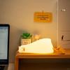 مصابيح LED – مصابيح LED ليلية