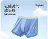 English Bolun Boys' Lycra Underwear Shorts