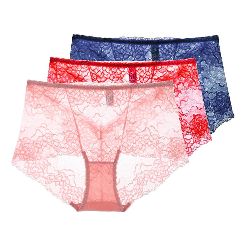 3 Pezzi Lingerie Sexy da Donna Vita Alta Slip in Pizzo Rete Trasparente Boyshorts Slip da Donna