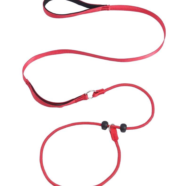 Dog Leash Traction Rope for Small to Medium Breeds