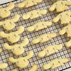Chefmade Sanrio Cinnamoroll Cookie Cutter Set of 4, a popular character in Korea