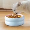 Cat Bowls Ceramic Water Bowl For Cats Kitten Feeding Dish Microwave Safe Dish For Veterinary Pet Puppy Travel Household