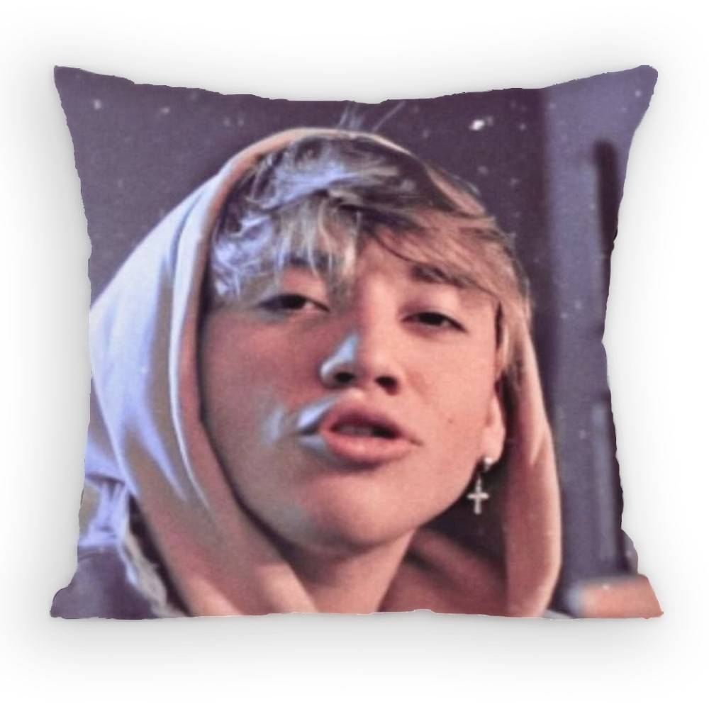 PPaulo LLondra Pillow Case Antidustmite Pillowcase Invisible zipper silky short plush Sofa cushion cover 30x30 cm