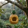 Pineapple Birdhouse Rope Hanger Hanging Novelty Textured Outdoor Decoration