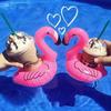 Luftmadrasser til kopp Oppblåsbar Flamingo Drinks Koppholder Pool Floats Bar Coasters Flyteutstyr Søt leketøy Drikkeholder