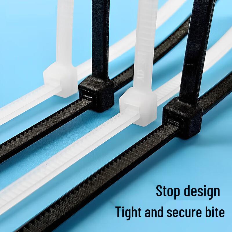 Dachang Lanyue Nylon Cable Ties