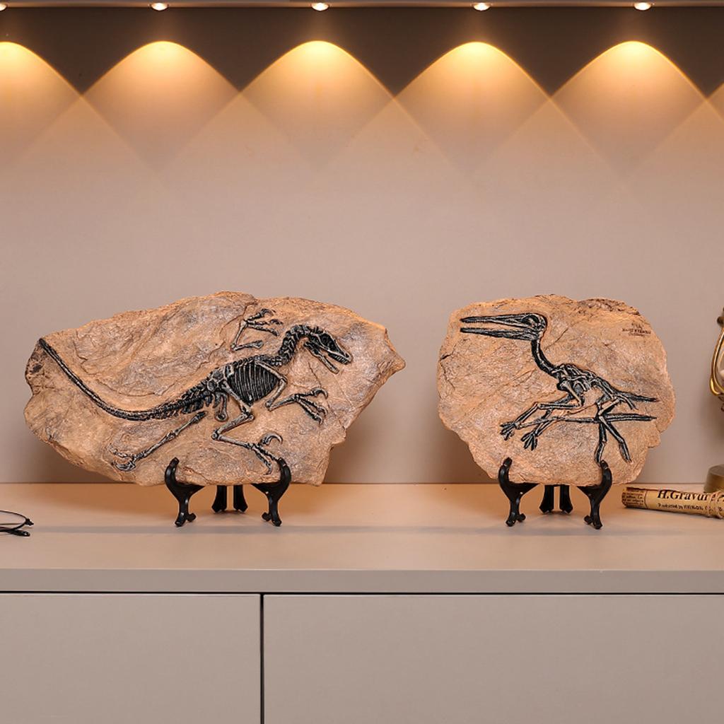 Realistic Dinosaur Skeleton Fossils Resins Statue Figurine Ornament for Desktop Book Shelf Display and Collection Gift