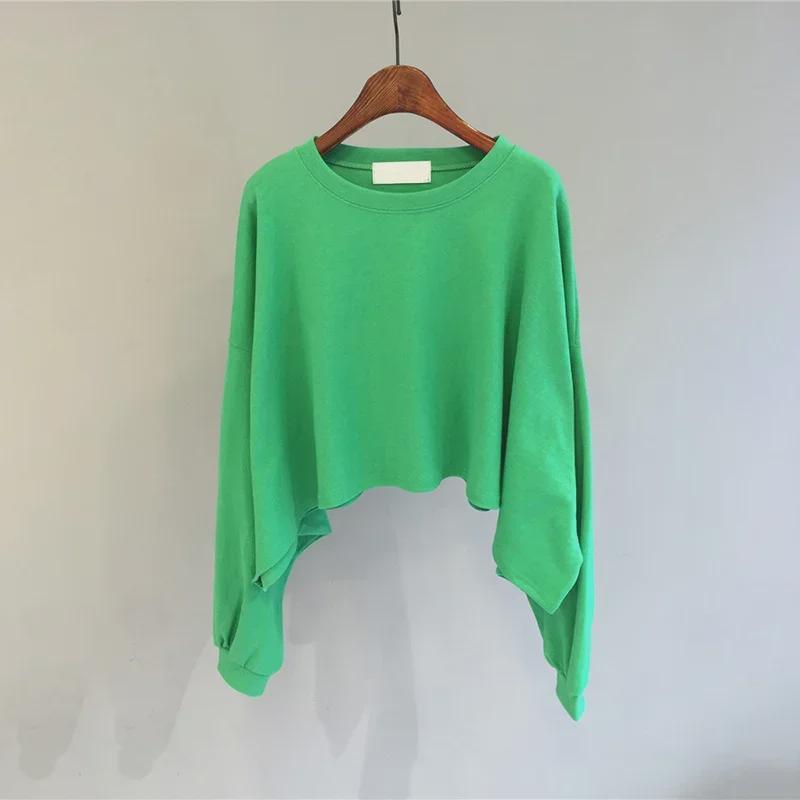 Women's Korean Style Cotton-Blend Crew Neck Sweatshirt - Spring/Autumn