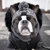 Pet Dog Winter Knitted Warm Hat Head Windproof Hat With Cute Wool Braids Outdoor Snow Protectio Warm Hat Pet Knitted Accessories