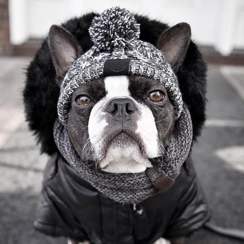 Pet Dog Winter Knitted Warm Hat Head Windproof Hat With Cute Wool Braids Outdoor Snow Protectio Warm Hat Pet Knitted Accessories