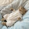 Pet Cat Dog Four-Legged Pajamas Cotton Warm All-Season Outfit Small Cats Kittens Mini Dogs