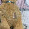 [USED] SHINADA Atelier Toyoko Teddy Bear with Paper Tag, Pre-owned