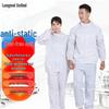 Cleanroom Anti-Static & Dust-Proof Protective Gear
