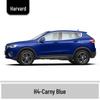 Haval H6 Cool Dog Touch-Up Pen, Black Spot & Ruixue White Scratch Repair Paint
