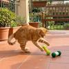 2PCS Soft Plush Cat Chew Toys Bite-Resistant Interactive Cat Toys Cat Teaser Toy  Indoor Use