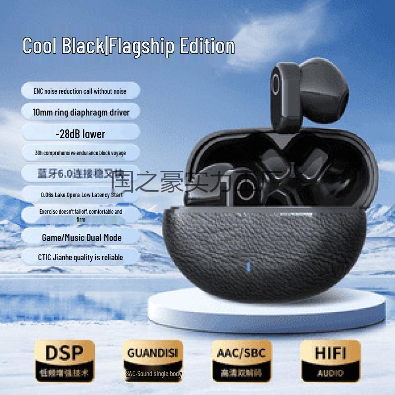 Wireless Bluetooth Earphones