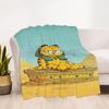 1PC Egyptian Garfield Outdoor Blanket Lightweight Flannel, Soft & Warm, All-Season Use for Sofa, Outdoor, Camping, Living Room, Office91