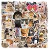 50Pcs Cute Cat Meme Stickers Decals for Phone Laptop Suitcase Notebook Skateboard Waterproof Sticker