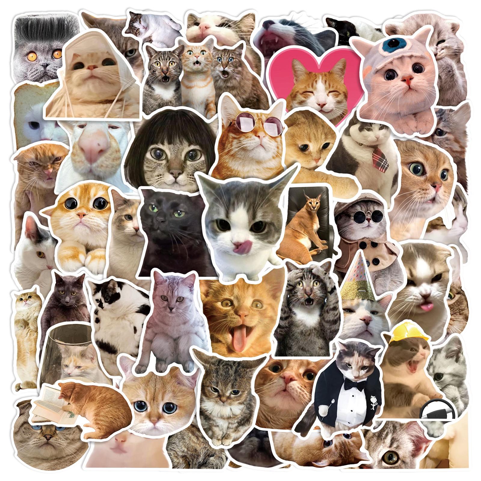 

50Pcs Cute Cat Meme Stickers Decals for Phone Laptop Suitcase Notebook Skateboard Waterproof Sticker