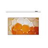 JINGMI Electric Projection Screen