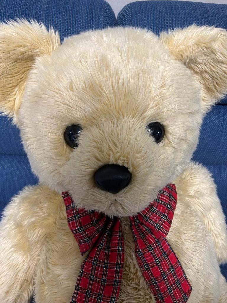 [USED] Large teddy bear plush toy