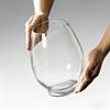 Round Glass Dinosaur Egg Hydroponic Vase Desktop Ornament for Plants