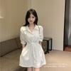 Spring and Summer Short-sleeved Dress New Women's Retro Small Shirt Skirt Lapel Waist Thin Word Short Skirt
