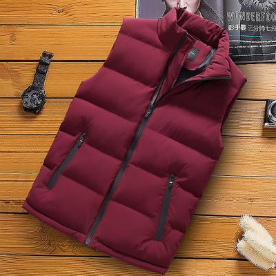 Casual Thickened Men's Cotton Jacket Vest Winter Handsome Young Men's Stand Collar Warm Vest