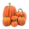 7pcs Artificial Pumpkins Assorted Fake Simulation Pumpkin for Halloween Thanksgiving Party Home Decoration
