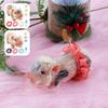5In Silicone Pig Doll Toy Mini Soft Lifelike Silicone Pig Doll Cute Newborn Interesting Full Silicone Body Pig Toy with Clothes