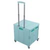 Collapsible Utility Cart Rolling Crate Swivel Casters PP Strong with Telescopic Handle Lid Storage