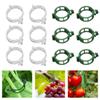 100 PCS Reusable Plant Support Clips Durable Trellis Clips Grow Upright Plant Clips  Grape Vine