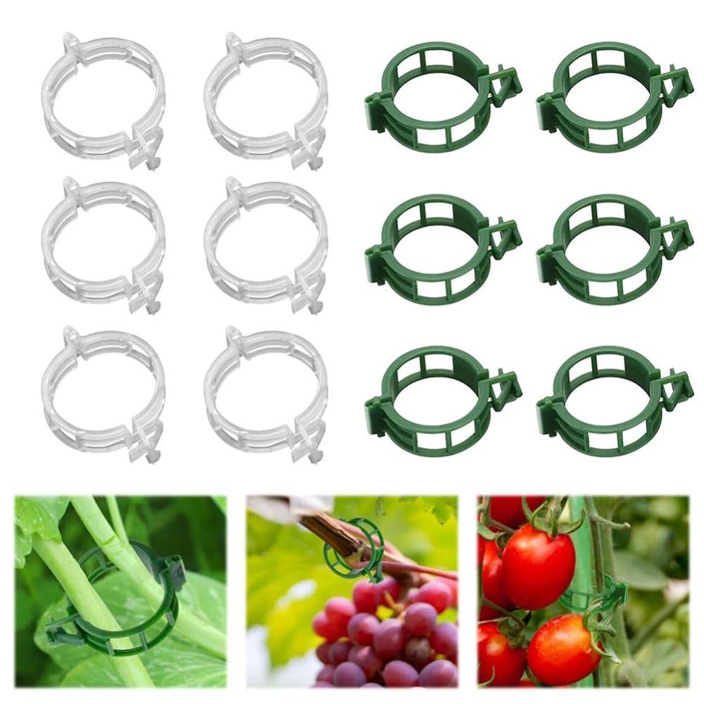 100 PCS Reusable Plant Support Clips Durable Trellis Clips Grow Upright Plant Clips  Grape Vine