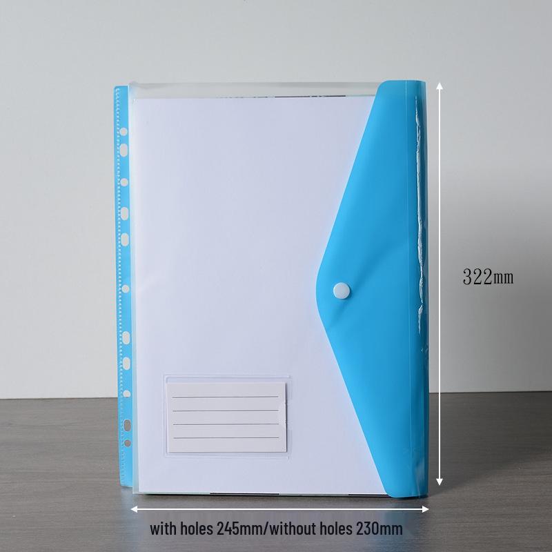 A4 11-Hole Vertical Loose-Leaf Document Bag with Colored Labels