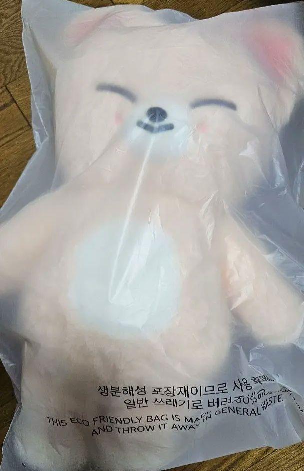[USED] StrayKids SKZOO Teddy Bear, FoxINy