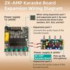 TB21PRO Upgraded 2.1 Channel Wirelsss-Compatible Amplifiers Board With Bass Speaker And Plastic Case