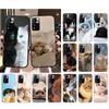 Phone Case For Xiaomi Poco C71 15T 14T Pro Redmi Note 15 14 14 13 Pro Redmi A5 15C 13C Baby Cat