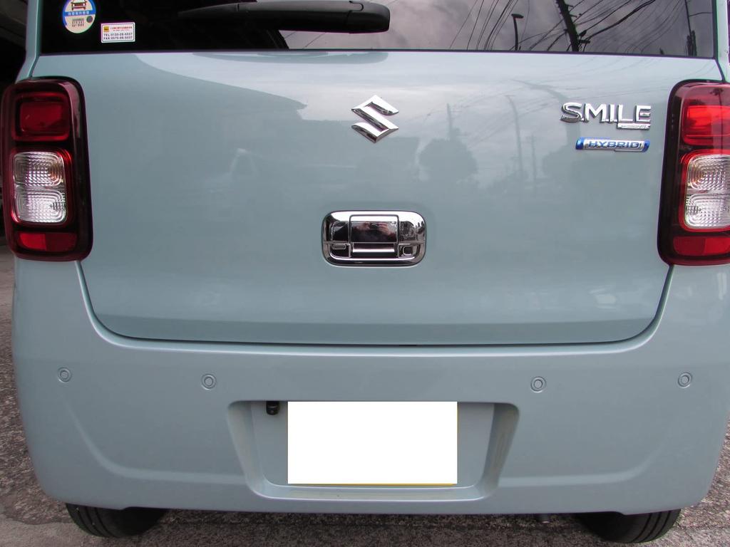 BRIGHTZ Wagon R Smile Chrome Door Handle Covers and Rear Hatch Knob Plate Type D Compatible with MX MX and 91 models MX81S/MX91S Set, [REA-DHC-010]