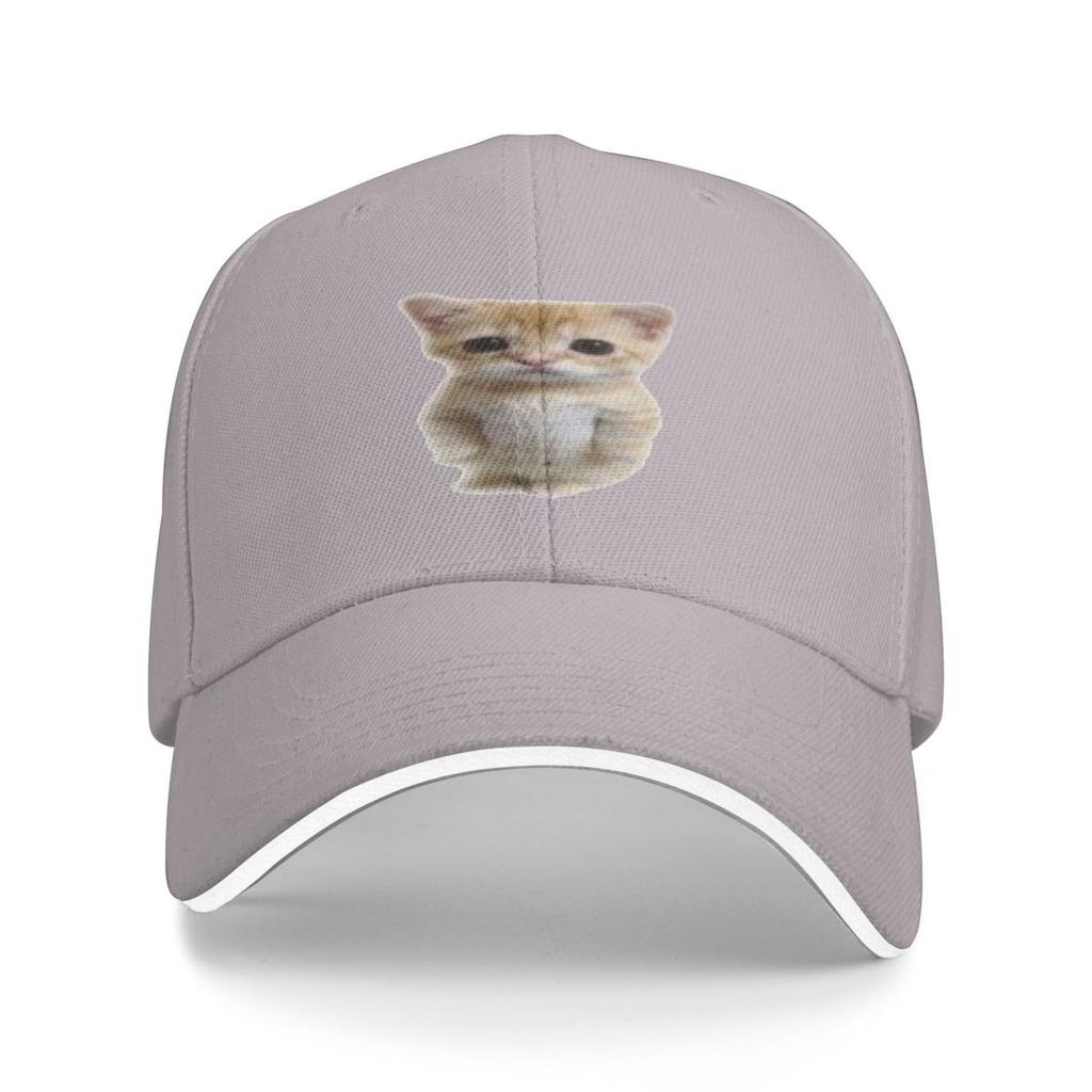 Unisex Baseball Hats El Gato Standing Cat Meme Outdoor Streetwear Summer Sports Baseball Caps Cap Casquette Polychromatic Hats