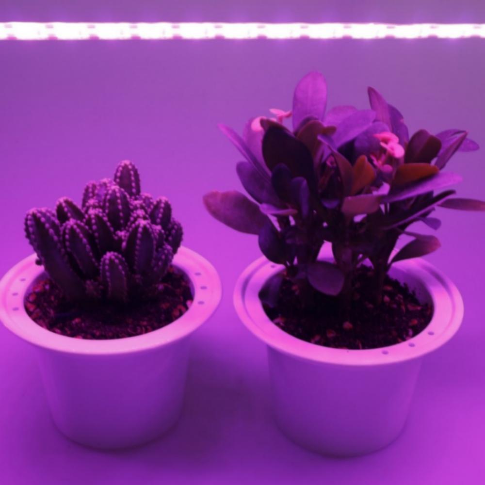 LED Waterproof Grow Light Full Spectrum 5V USB 5m Grow Light Strip 2835 LED Phyto Lamps For Plants Greenhouse Hydroponic Growing